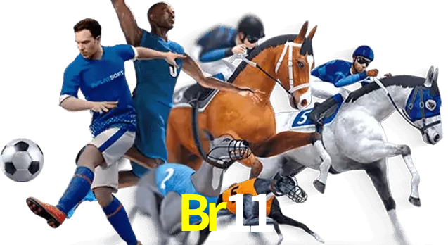 Br11