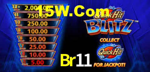 Programa VIP Br11